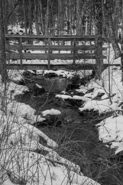 カナダの森の冬の川での眺め — ストック写真