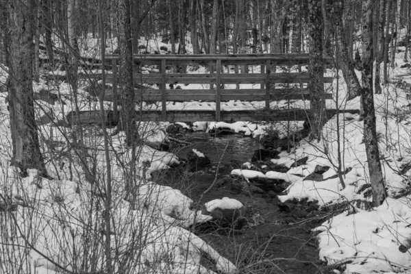 Θέα Στο Χειμερινό Ποτάμι Στο Δάσος Του Καναδά — Φωτογραφία Αρχείου