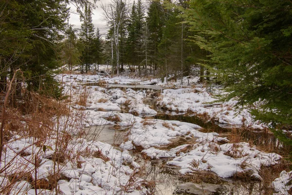 Vista Rio Inverno Floresta Canadense — Fotografia de Stock