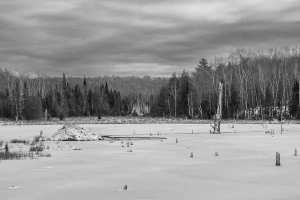 stock image Beautiful winter landscape with view of frozen lake in the Canadian forest