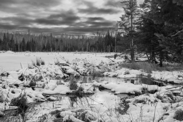 stock image Beautiful winter landscape with view of frozen lake in the Canadian forest