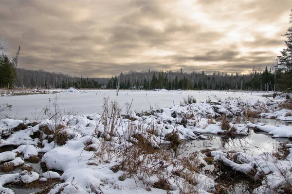 Vackert Vinterlandskap Med Utsikt Över Frusen Sjö Den Kanadensiska Skogen — Stockfoto