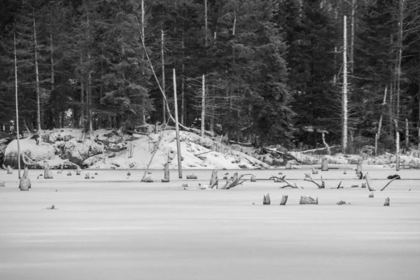 Όμορφο Χειμερινό Τοπίο Θέα Την Παγωμένη Λίμνη Στο Δάσος Του — Φωτογραφία Αρχείου