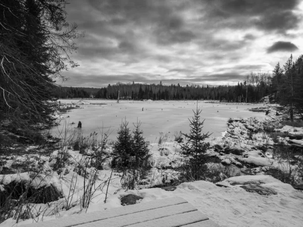 stock image scenic black and white shot of beautiful winter landscape of lake on cloudy day