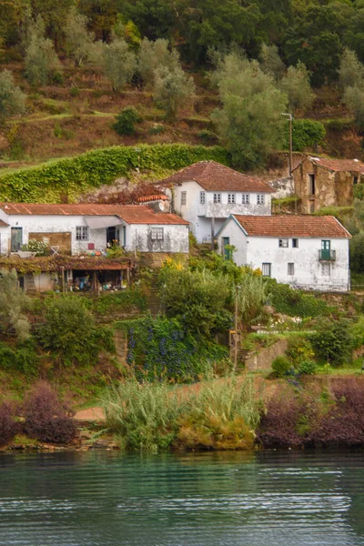 美しいドゥオーロ建築の風光明媚なショット ポルトガル — ストック写真