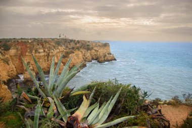 Güzel deniz manzarası