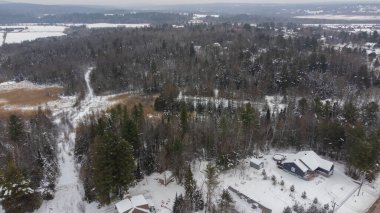 Karla kaplı ağaçları ve dağları olan güzel kış manzarası 