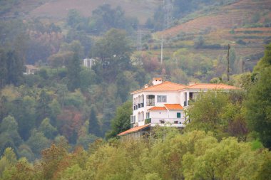 Güzel Douro mimarisinin manzaralı çekimi, Portekiz