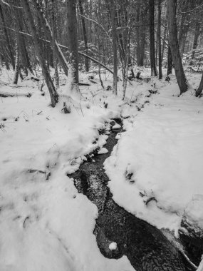 panoramic view on winter landscape