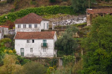 Landscape and architectural view along the Douro Valley in Portugal