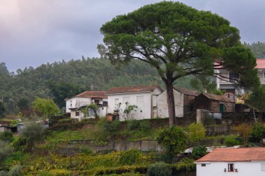 Landscape and architectural view along the Douro Valley in Portugal