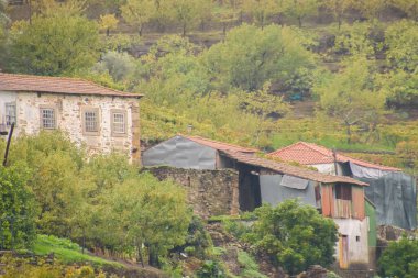 Landscape and architectural view along the Douro Valley in Portugal