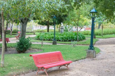 Green park in Evora city, Portugal