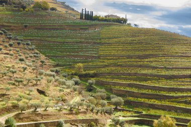 Landscape view of the beautiful douro river valley near Pinhao in Portugal