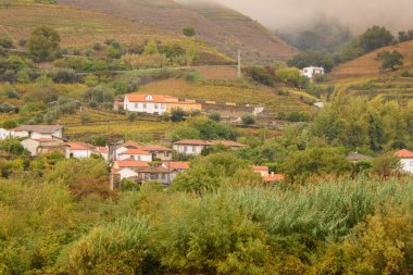 Landscape view of the beautiful Douro river valley near Pinhao in Portugal