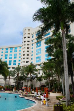 Miami sahili manzaralı palmiye ağaçları ve mavi gökyüzü