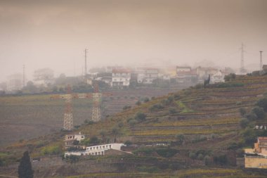 Landscape view of the beautiful douro river valley near Pinhao in Portugal