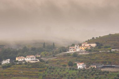 Landscape view of the beautiful douro river valley near Pinhao in Portugal