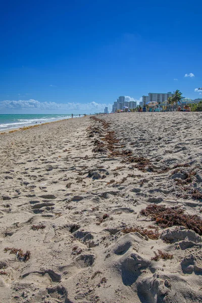 Vacker Sandstrand Hollywood Stad Florida Usa — Stockfoto