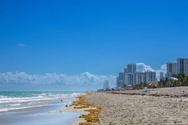 Bella Spiaggia Sabbia Nella Città Hollywood Florida Stati Uniti — Foto Stock