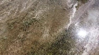 Florida 'daki Everglades' in havadan görüntüsü