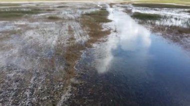 Florida 'daki Everglades' in havadan görüntüsü