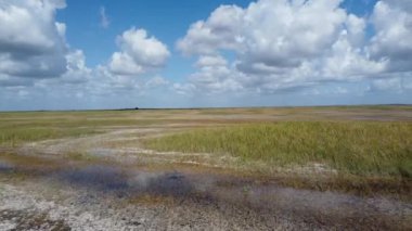 Florida 'daki Everglades' in havadan görüntüsü