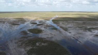 Florida 'daki Everglades' in havadan görüntüsü