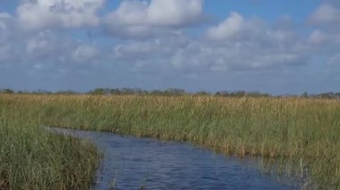 Florida 'daki Everglades' in havadan görüntüsü