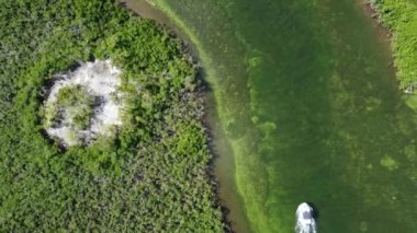 Florida 'da Everglades' te Tekne Sürüşünün Hava Görüntüsü