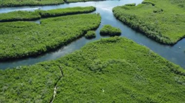 Florida 'daki Everglades' in havadan görüntüsü