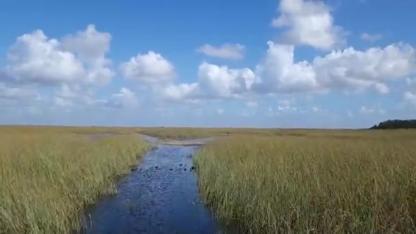 Luchtfoto Van Everglades Florida Usa — Stockvideo