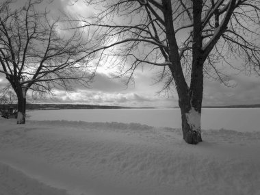 Kışın donmuş bir gölün gri tonlu görüntüsü.
