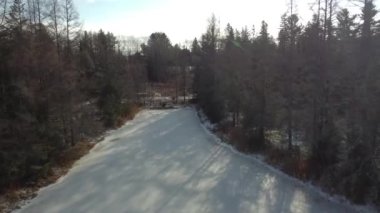 Karla kaplı ağaçlar ve Memphremagog Gölü ile kış manzarası. Newport, Vermont, ABD ve Magog arasında yer almaktadır, Quebec, Kanada