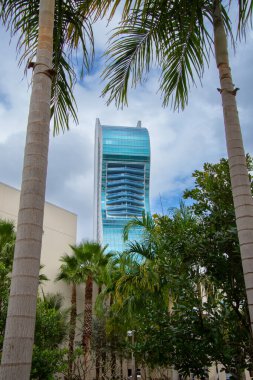 The Guitar Hotel Seminole Hard Rock Hotel & Casino, Hollywood, Güney Florida, ABD