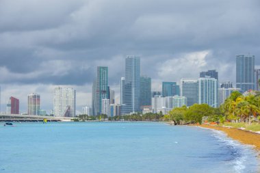Biscayne Körfezi sahili manzaralı palmiye ağaçları ve deniz
