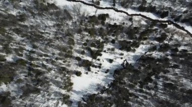 Quebec 'te kışın Kanada karışık ormanlarının genel görünümü