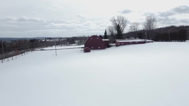 Vuelo Sobre Campo Canadiense Región Estrie Invierno Quebec — Vídeos de Stock