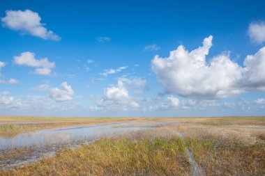 Nehir manzarasının havadan görünüşü