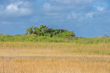 Ağaçlı ve bulutlu gökyüzü olan doğa manzarası 