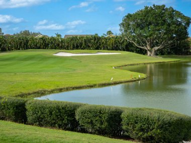 Güney Florida 'da bir Amerikan golf kulübünde güzel bir delik.