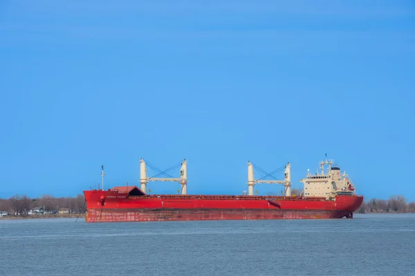 Nagy Hajó Horgonyzott Saint Lawrence Folyó Quebec Kanada — Stock Fotó