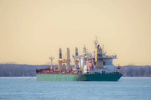 カナダのケベック州セントローレンス川に停泊する大型船 — ストック写真