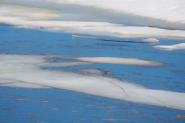 Derreter Gelo Primavera Lago Floresta Canadense Quebec — Fotografia de Stock