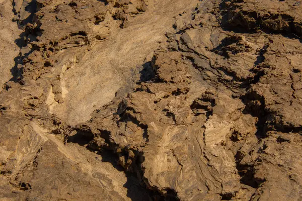 Kahverengi Yüzey Doğal Arkaplanı Kapat — Stok fotoğraf