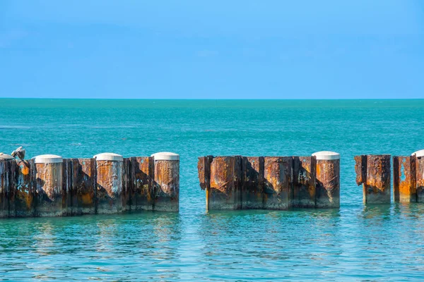 Vista Parte Zona Portuaria Key West Florida — Foto de Stock