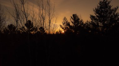 Bir Nisan sabahı, ilkbaharda Kanada Boreal Ormanı 'nda güzel bir gündoğumu.