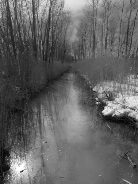黒と白のカナダの田舎の小さな川の眺め — ストック写真