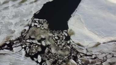 İlkbaharda Kanada kırsalında küçük bir nehir manzarası