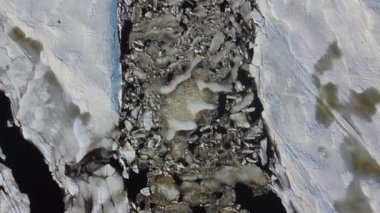 İlkbaharda Kanada kırsalında küçük bir nehir manzarası